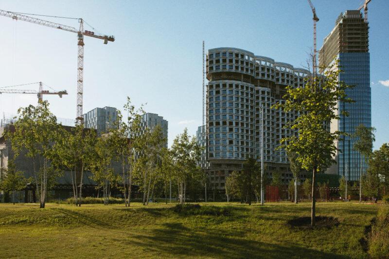 Stammschutz auf Baustellen