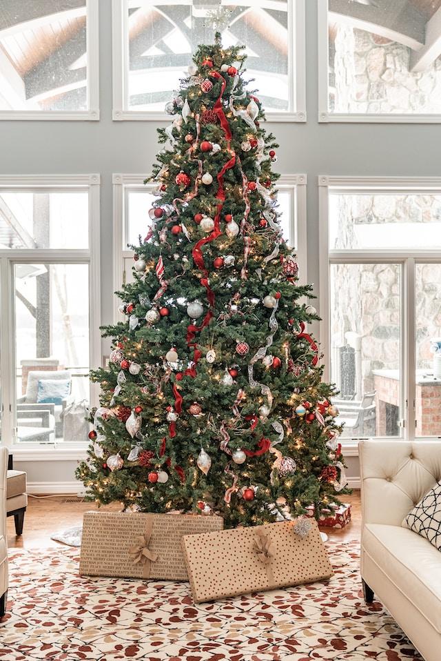 Welcher Baum eignet sich am besten als Weihnachtsbaum? Ein Leitfaden für die perfekte Wahl