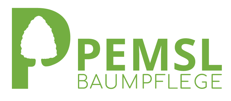 Baumpflege Pemsl