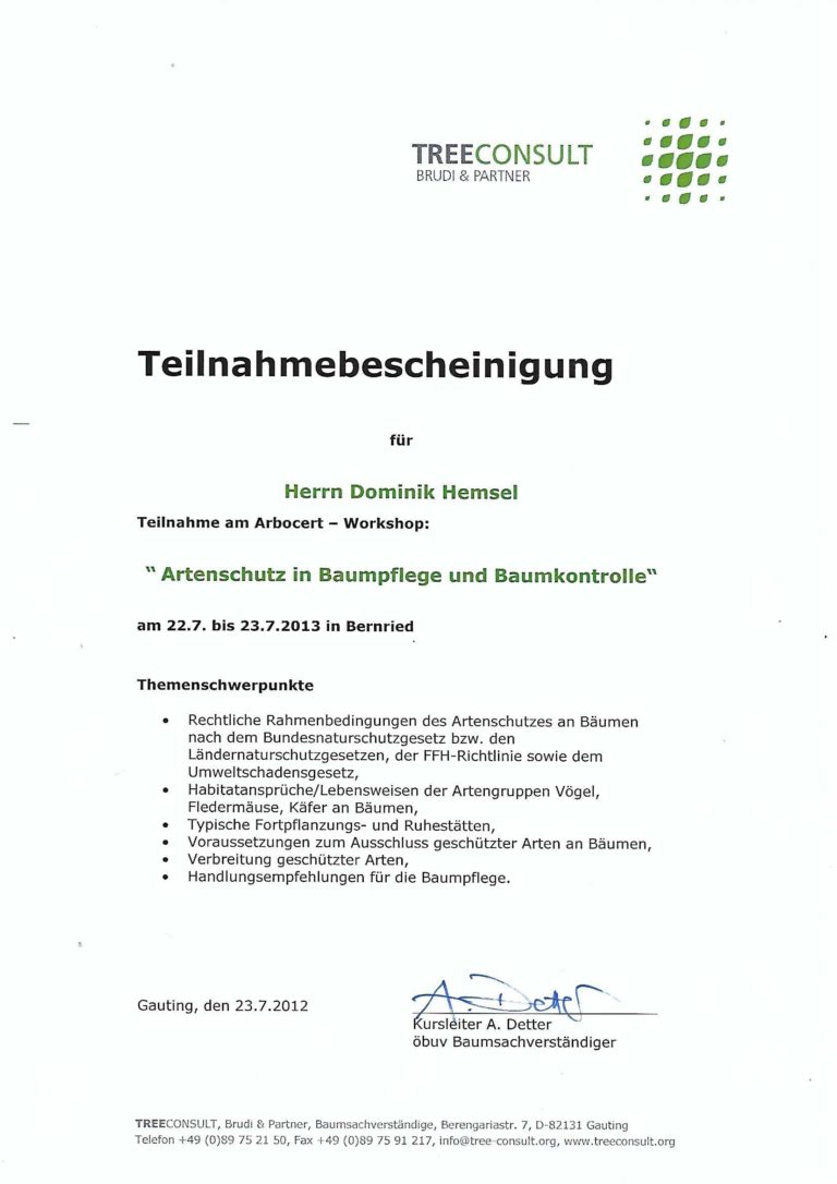 Artenschutz in Baumpflege und Baumkontrolle