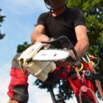 Baumfällung mit Motorsäge, Baumpflege Pemsl Lindau, Allgäu, Bodensee