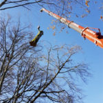 Kranfällung, Baumfällung, Baumpflege Pemsl Lindau