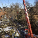 Kranfällung, Baumpflege Pemsl Lindau