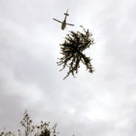 Helikopterfällung - Baumfällung mit Helikopter, Baumpflege Pemsl