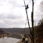 Helikopterfällung - Baumfällung mit Helikopter, Baumpflege Pemsl